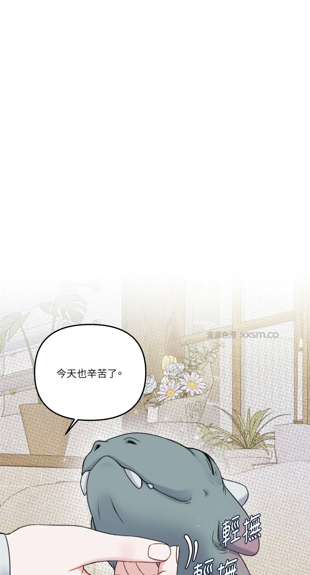 及时雨特报 预告篇 第1页