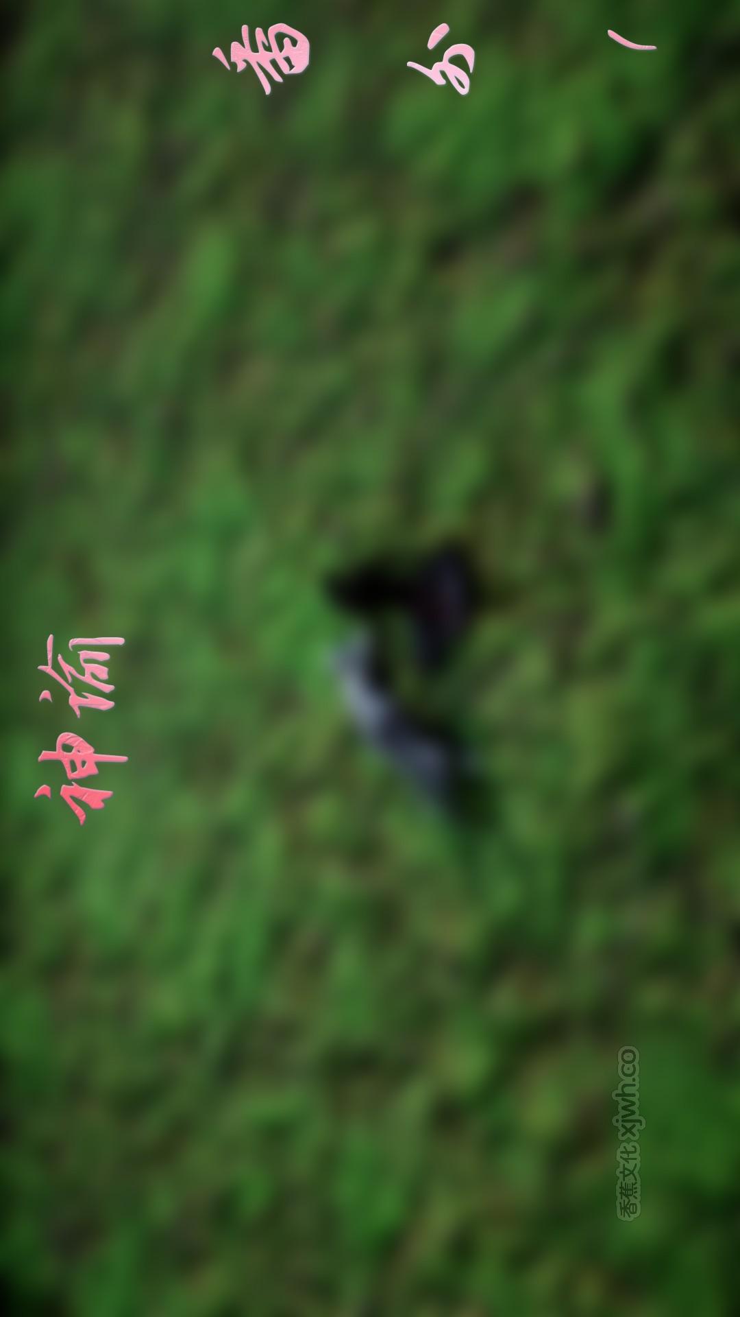 神谕 番外 第1话 第1页