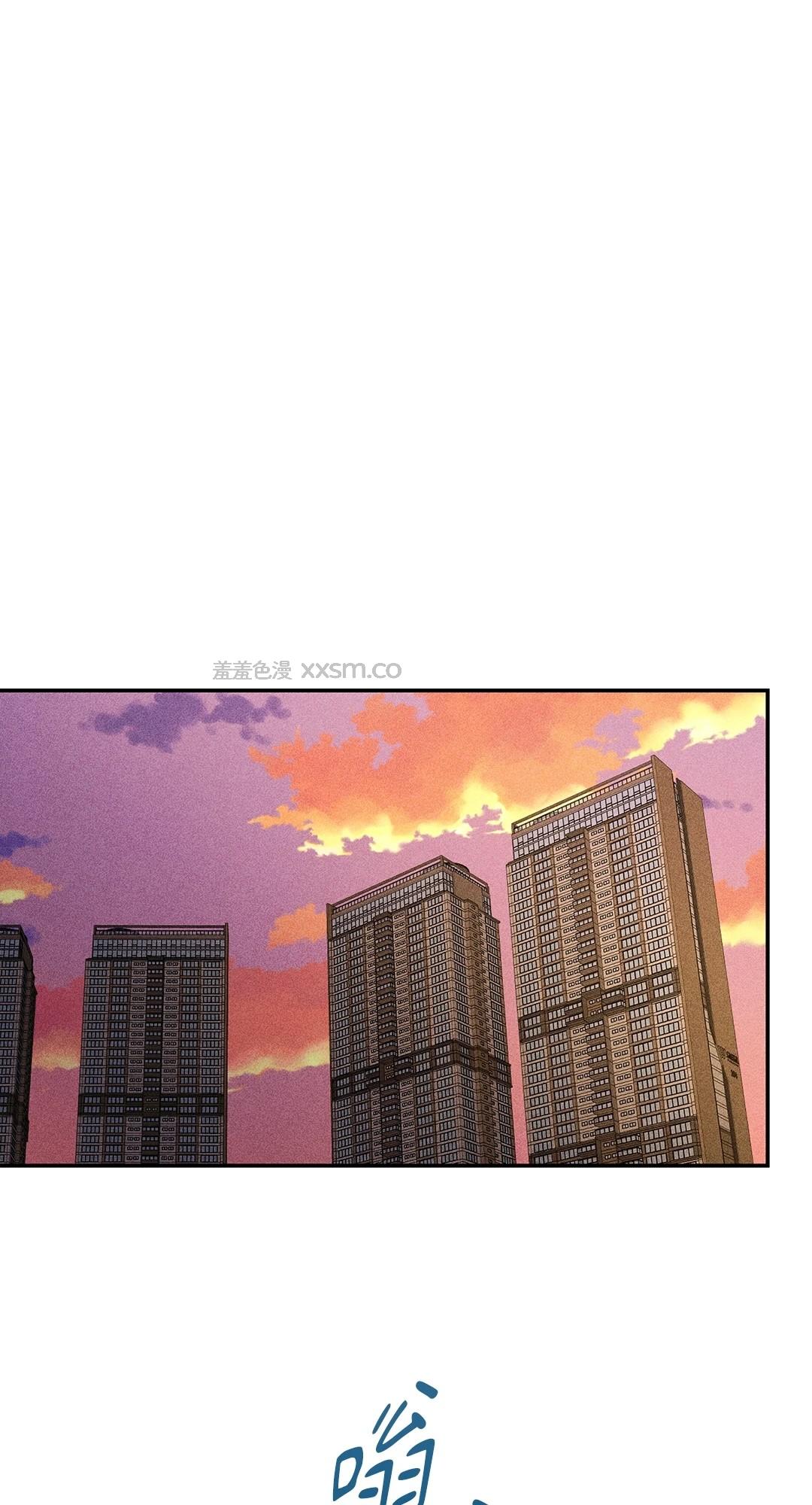 狗毛罗曼史 预告篇 第1页