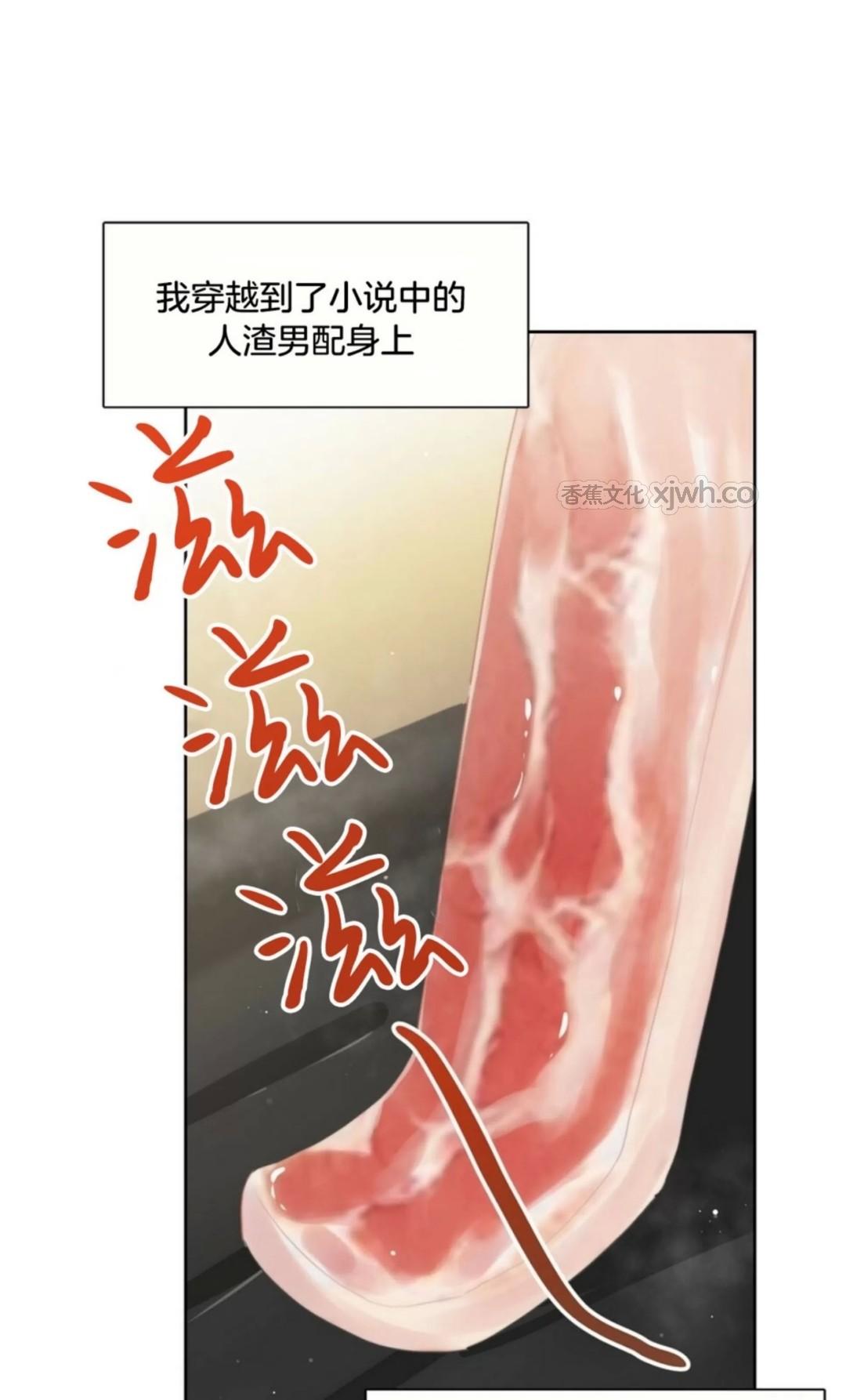 小说攻略/穿进小说成配角 第02话 第1页