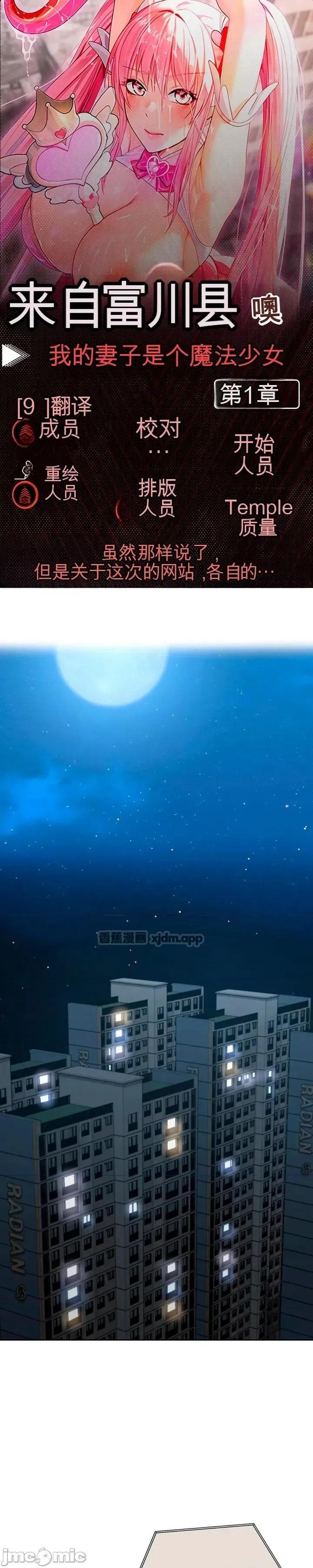 我妻子是魔法少女/魔法少女露美娜 第1话 第1页