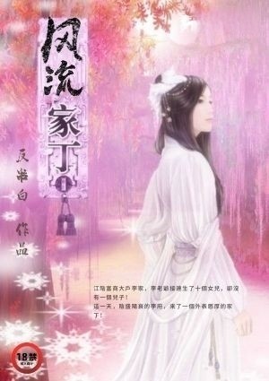 风流家丁