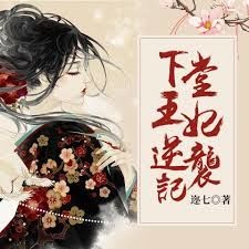 下堂王妃逆袭记