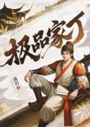 进入极品家丁世界