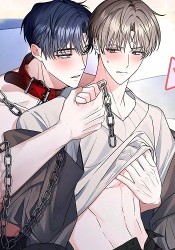 《犬攻系列》暂时性防护