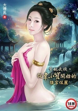穿越武侠，从韦小宝开始的后宫佳丽