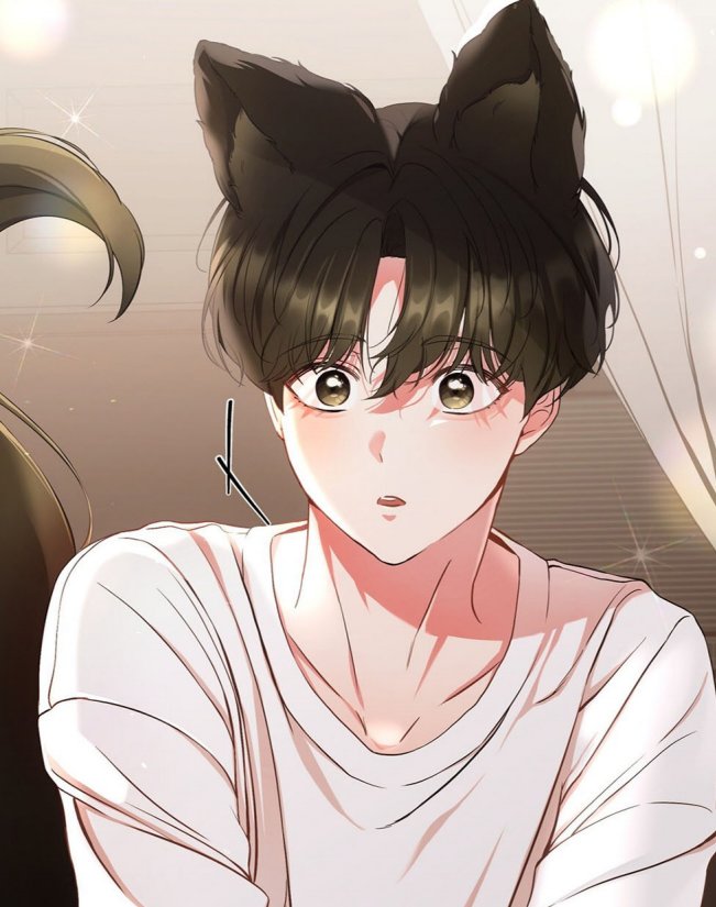 猫咪疗法