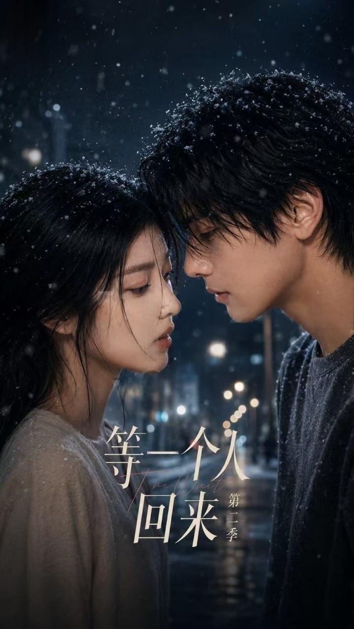 等一个人回来第二季